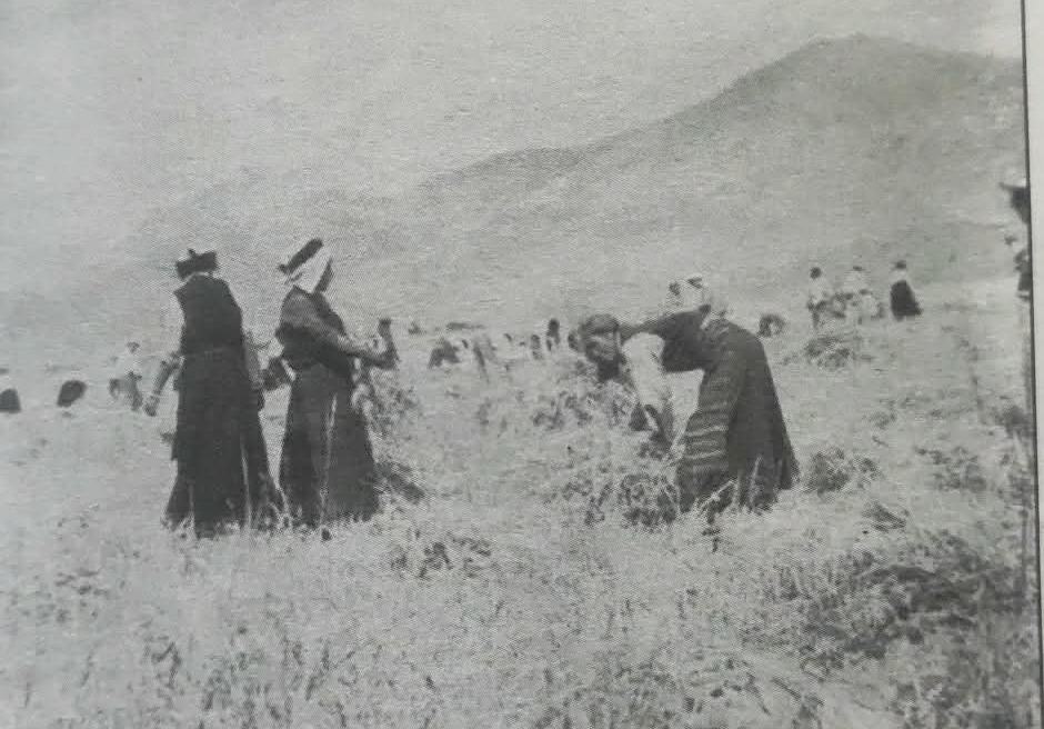 स्वर्गको निर्माण