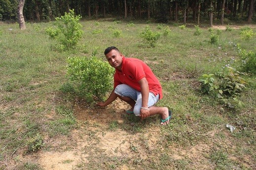 कञ्चनमा युवाहरु कृषिमा आकर्षित, कागती खेतीमा ठूलो लगानी