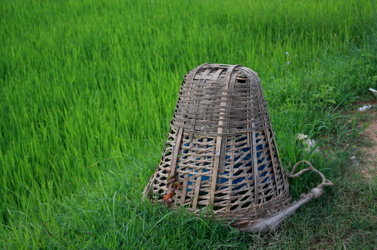 ए बाबै कति ज ग्वाम्मै ढाक्ने हो र सबै ज उदांगिदा नि