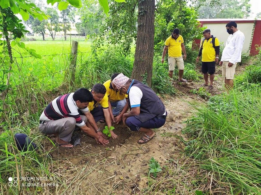 लायन्स क्लव अफ कञ्चन हरैयाद्धारा बृक्षारोपण