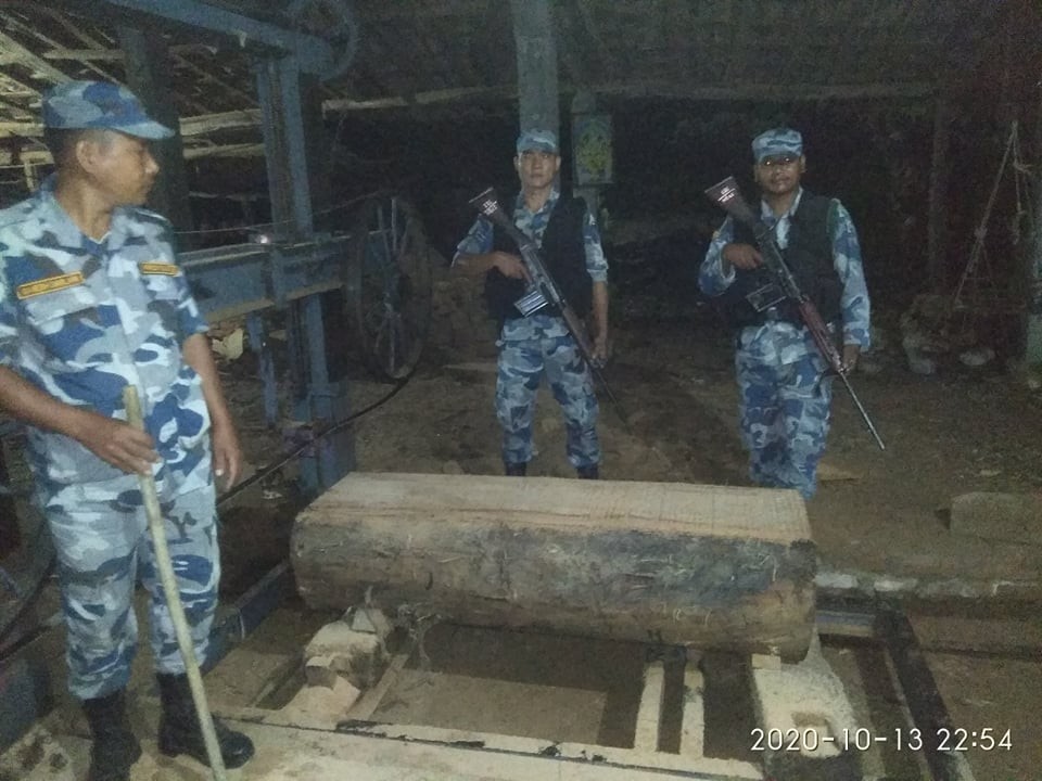 गैडहवाको समिलबाट अवैध काठ बरामद काठ सहित संलग्न ब्यक्ति समेत बनको नियन्त्रणमा