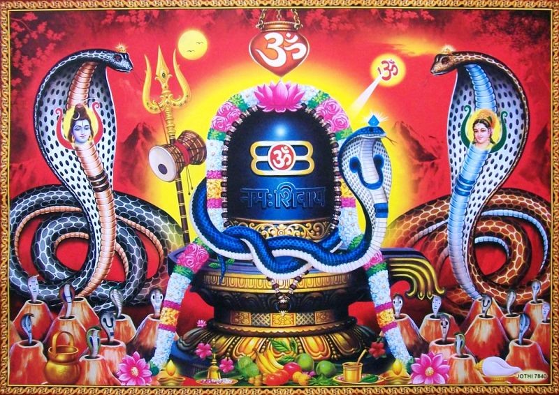 आज नागपञ्चमी पर्व : घरघरमा नागको पूजा आराधना गरि मनाइँदै