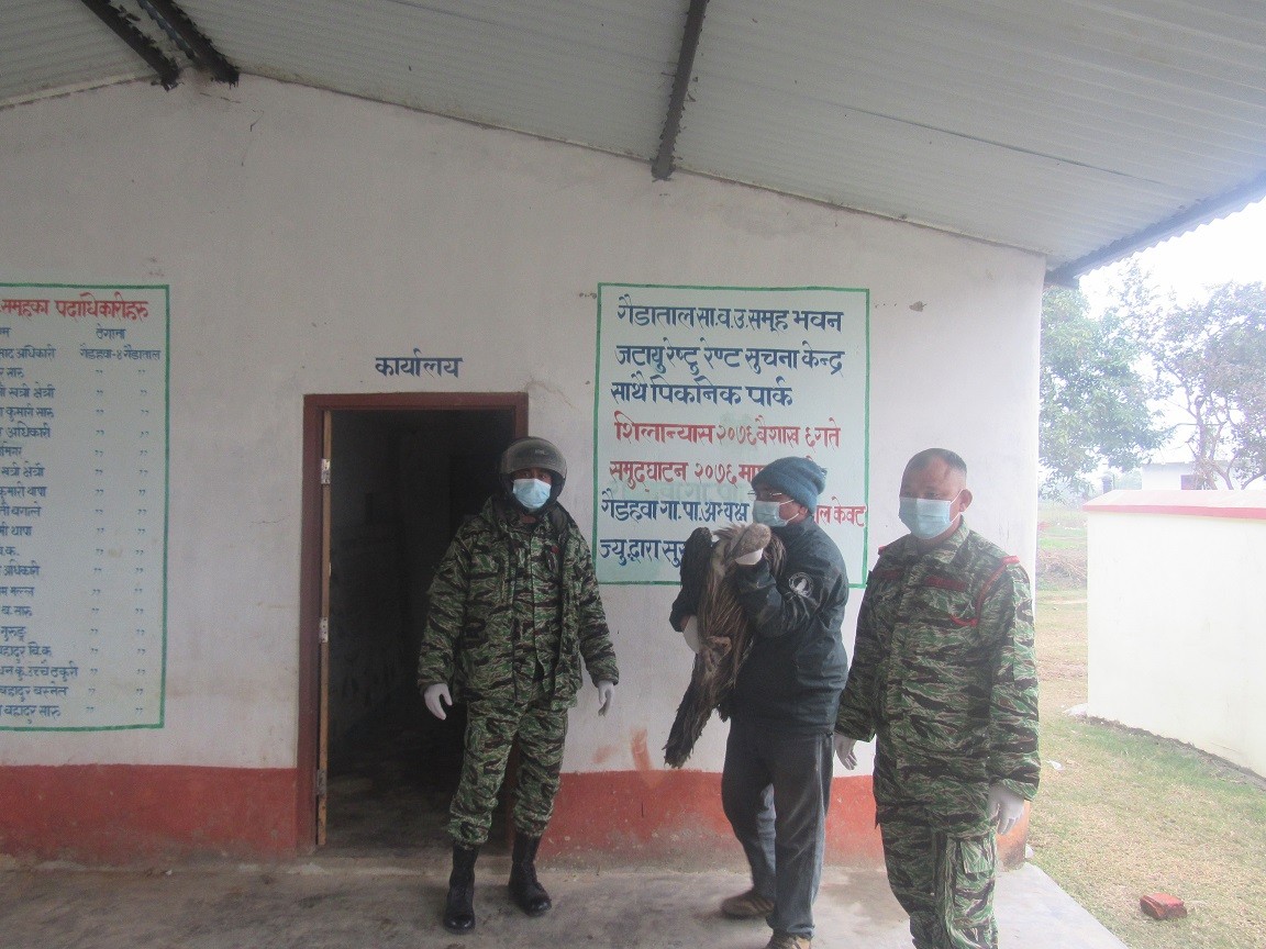 गैडाताल जटायु रेष्टुरेण्टद्वारा डिभिजन वन कार्यालयलाई दुई गिद्ध हस्तान्तरण