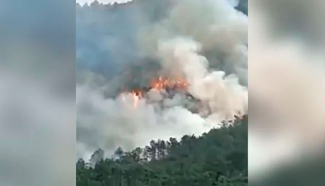 चीनमा हवाईजहाज दुर्घटना : बोइङ ७३७ मोडलका सबै जहाज ग्राउन्डेड