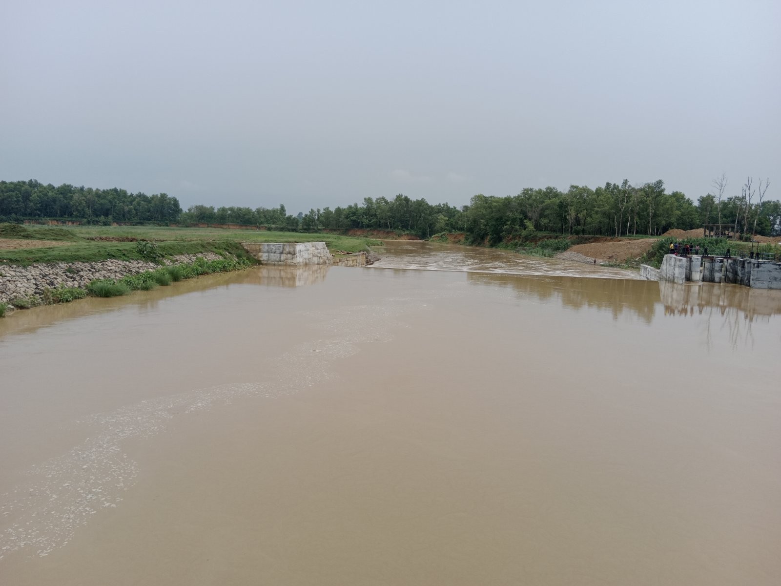कञ्चनमा अविरल बर्षाका कारण कञ्चनका अधिकांश भाग डुवानमा
