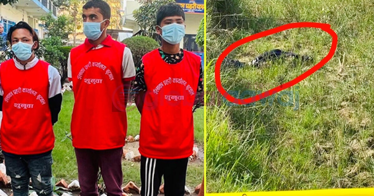 सैनामैना युवा हत्या प्रकरण : हत्यामा संंलग्न ३ जना सार्वजनिक