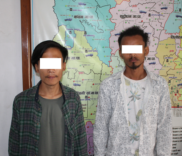 रुपन्देहीको सिद्धार्थनगर नगरपालिकाबाट छोटाहात्ती चोरी गर्ने दुई व्यक्ति पक्राउ