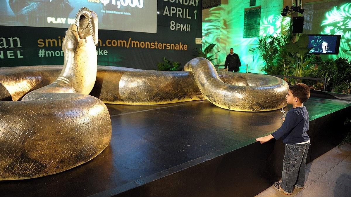 डाइनासोर जत्रै थियो विश्वकै ठुलो सर्प : यस्ता छन् सबैभन्दा लामा र वजनी १० सर्प