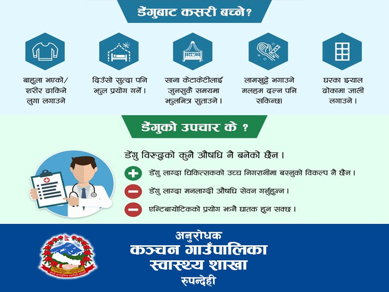 डेंगुको संक्रमण बढ्दै, बच्ने उपाय यी हुन