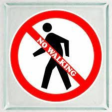 बर्दिया राष्ट्रिय निकुञ्जभित्र हिँडडुल गर्न रोक