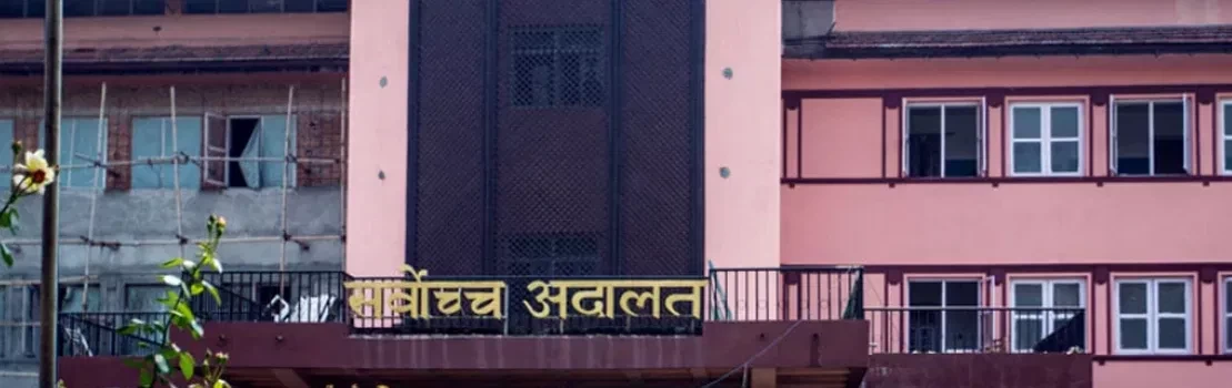 मन्त्रिपरिषद विस्तारविरुद्ध अन्तरिम आदेश, २० मन्त्री पदमुक्त