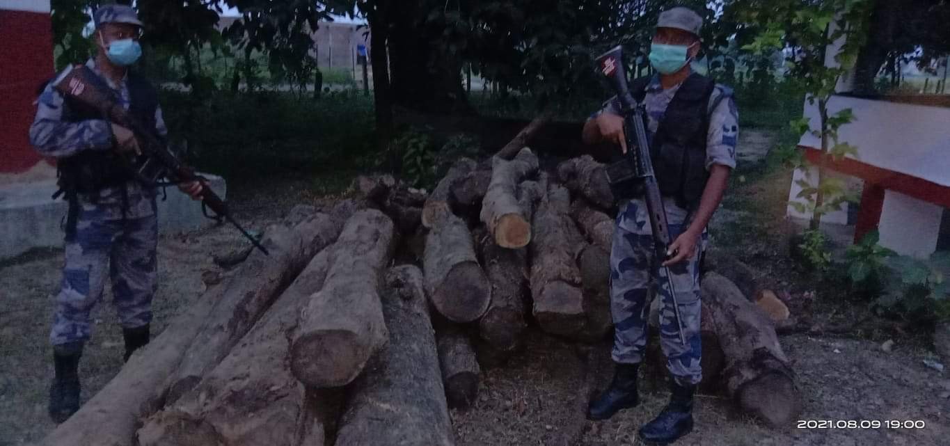 गैडहवामा करिब ५५ क्युफिट अबैध टिकको काठ बरामद