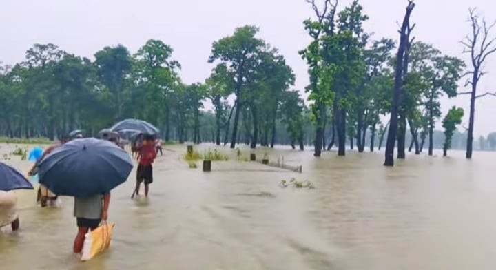 अविरल बर्षाका कारण गैडहवातालबाट ३० लाख रुपैया भन्दा बढीको माछा बगायो