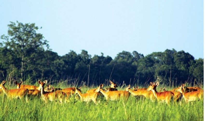 पर्यटकका लागि शुक्लाफाँटा निकुञ्ज खुला