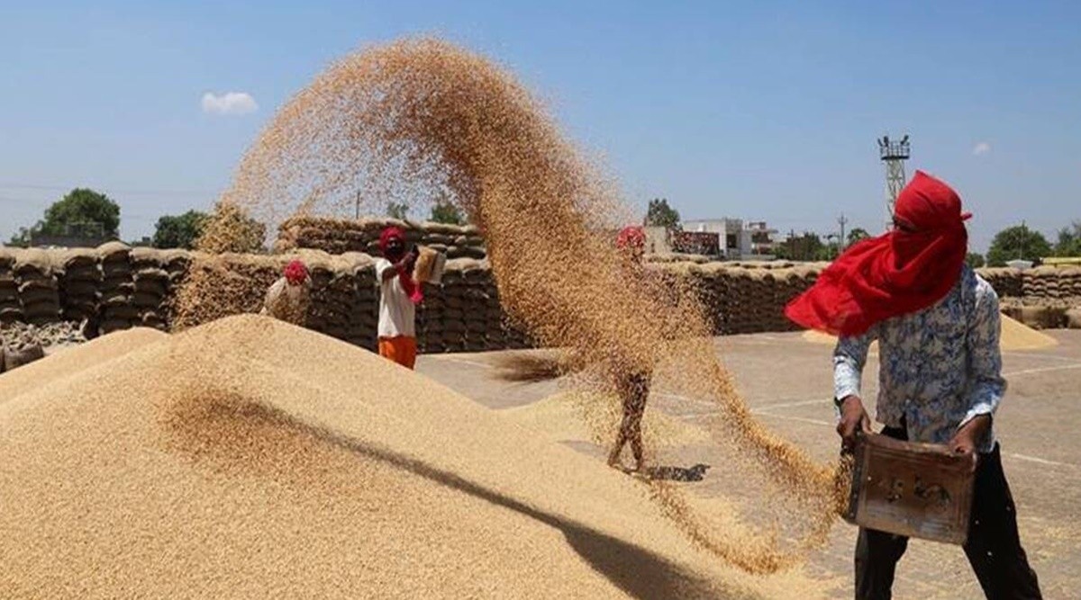 भारतमा धानको मूल्य बढ्न थालेपछि निर्यात प्रतिबन्धको चर्चा