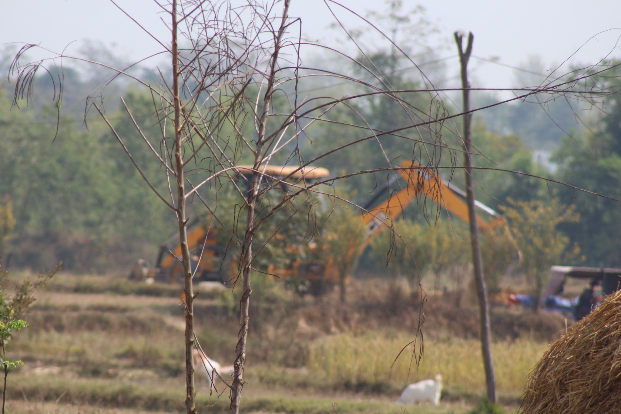 गृहद्धारा पहल भएपनि भूमि मन्त्रालय नतातेसम्म सरकारी जग्गा खोज्न असम्भव !