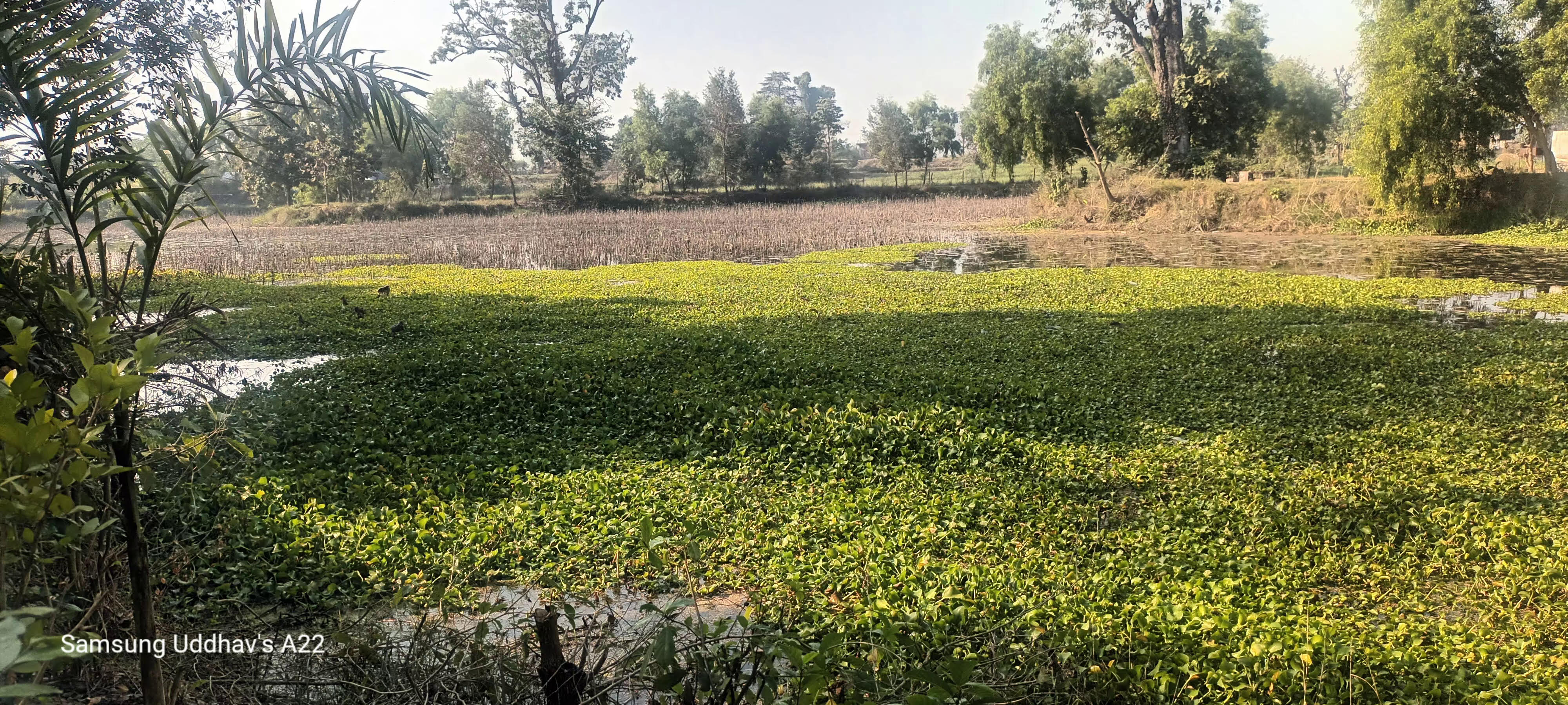 संरक्षणको तिर्खामा गजेडी ताल  