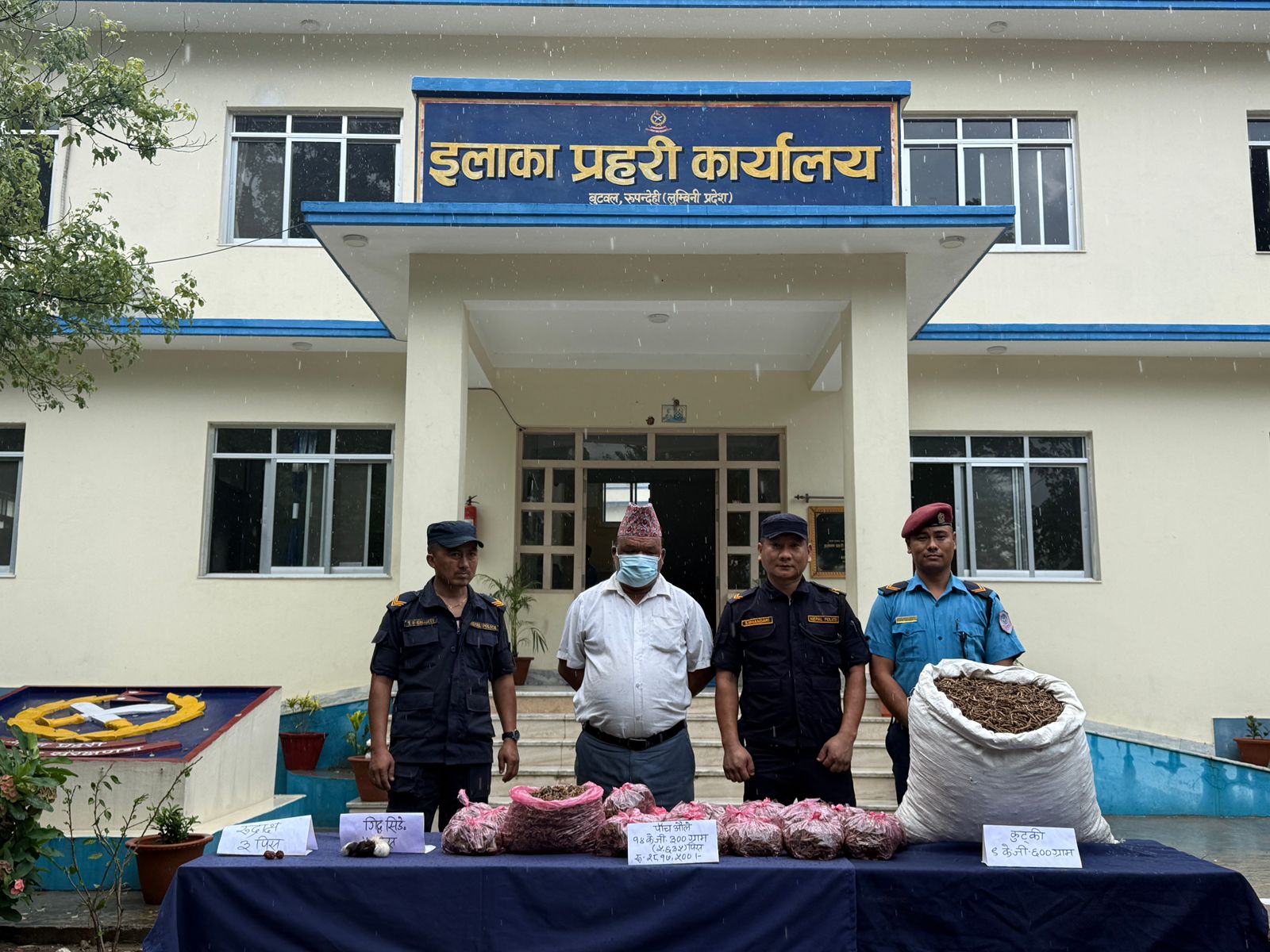 पाँच औले लगायत विभिन्न जडिबुटीहरु सहित मानिस पक्राउ