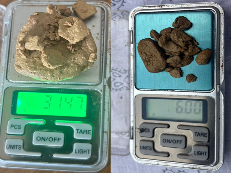 रुपन्देहीको गैडहवाबाट लागु औषध सहित २ जनालाई पक्राउ