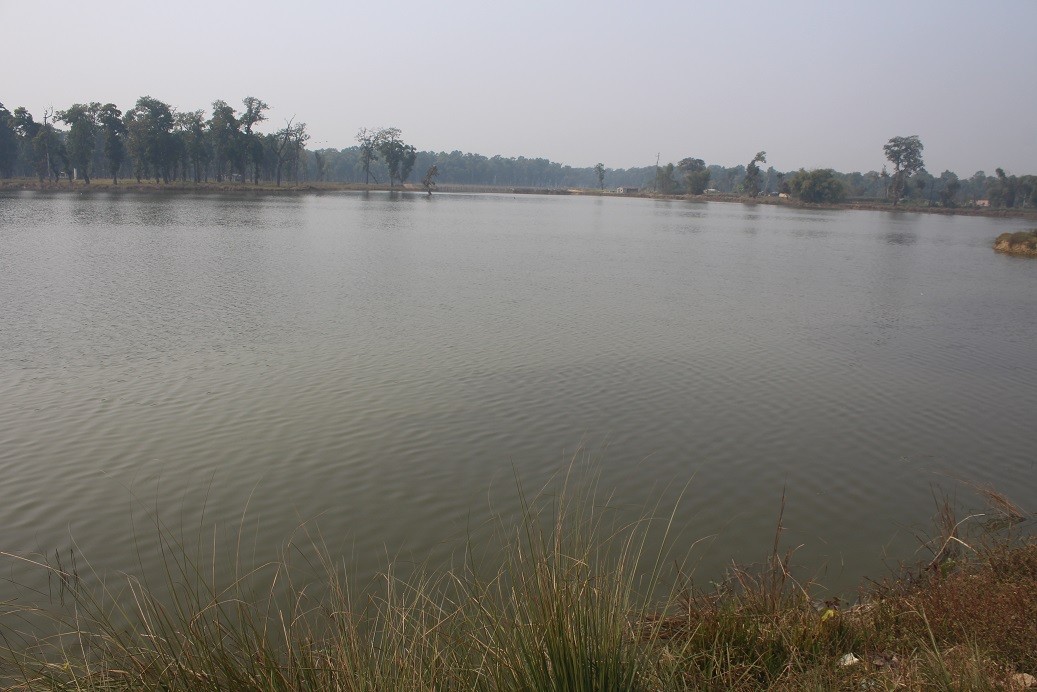 गैडहवामा प्रथम गैडहवाताल महोत्सव फागुन १ गते देखि, दानापुर– गजेडी तालसँग जोडेर जल पर्यटनको पर्बद्धन गर्न सकिने