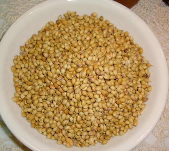 धनियाँको नियमित सेवन गरि पाउनुस् यी रोगहरुबाट छुटकारा !