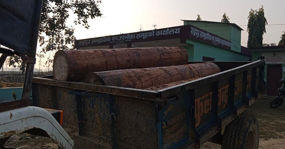 कञ्चनमा हरियो सालको गोलिया सहित ट्याक्टर बरामद