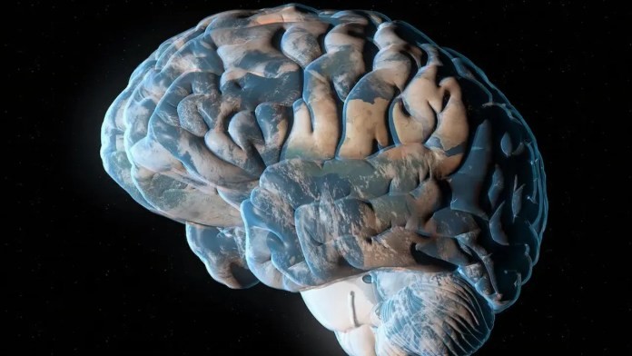 पृथ्वीको आफ्नै बुद्धि छ, आफ्नै किसिमले काम गर्छ : अध्ययन