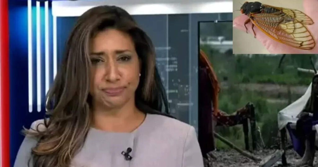 समाचार पढ्दा पढ्दै मुखभित्र झिंगा पसेपछि......