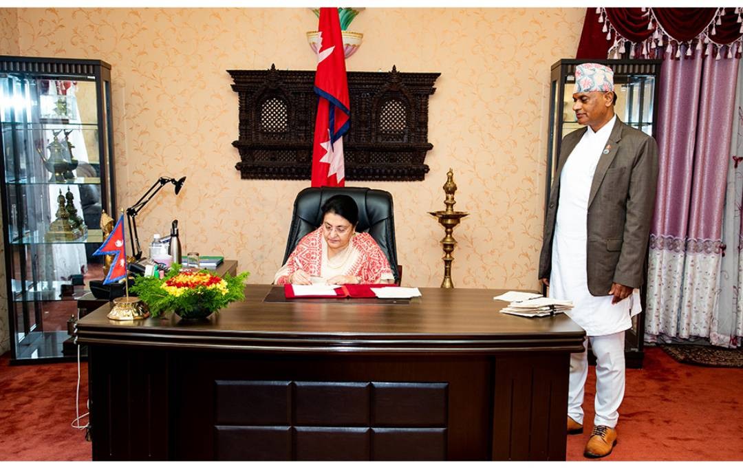 नगारिकता बिधेयक भएन प्रमाणिकरण, स्वत: निस्कृय