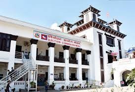 सामाजिक सञ्जालमा हुने निर्वाचन केन्द्रित प्रचार–प्रसारका लागि गरिने खर्चको अनुगमन गरिने