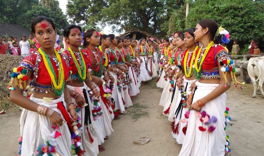 लुम्बिनीको खुदाबगर सोनवरसीमा माघी महोत्सव हुदै