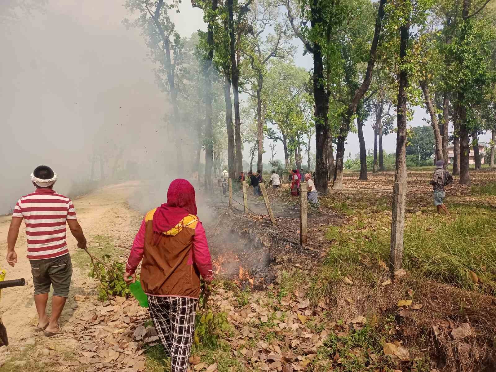 कञ्चनका दुई सामुदायिक वन क्षेत्रमा भिषण आगलागी