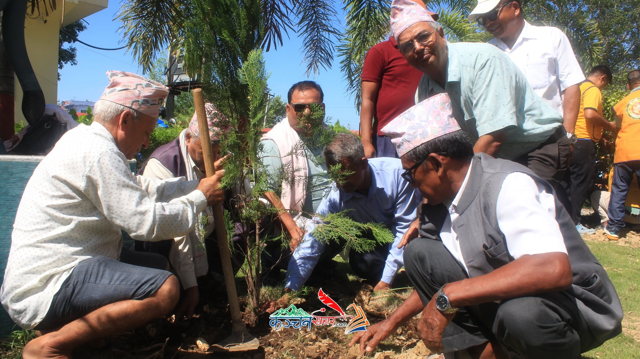 कञ्चनमा लायन्सद्वारा वृक्षारोपण