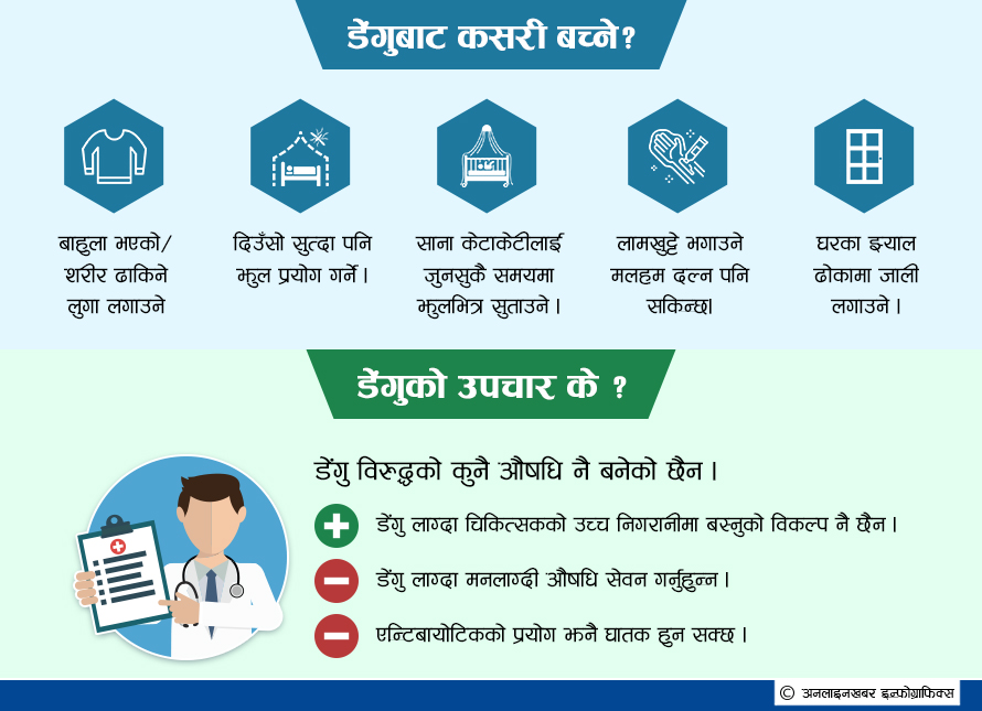 डेंगुको संक्रमण बढ्दै, बच्ने उपाय यी हुन