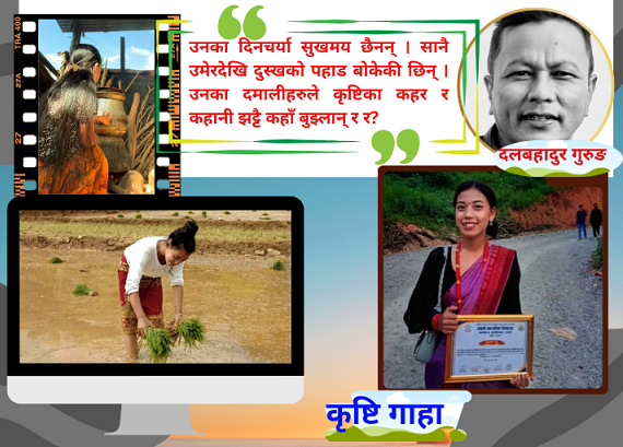 कर्मशील कृष्टि 