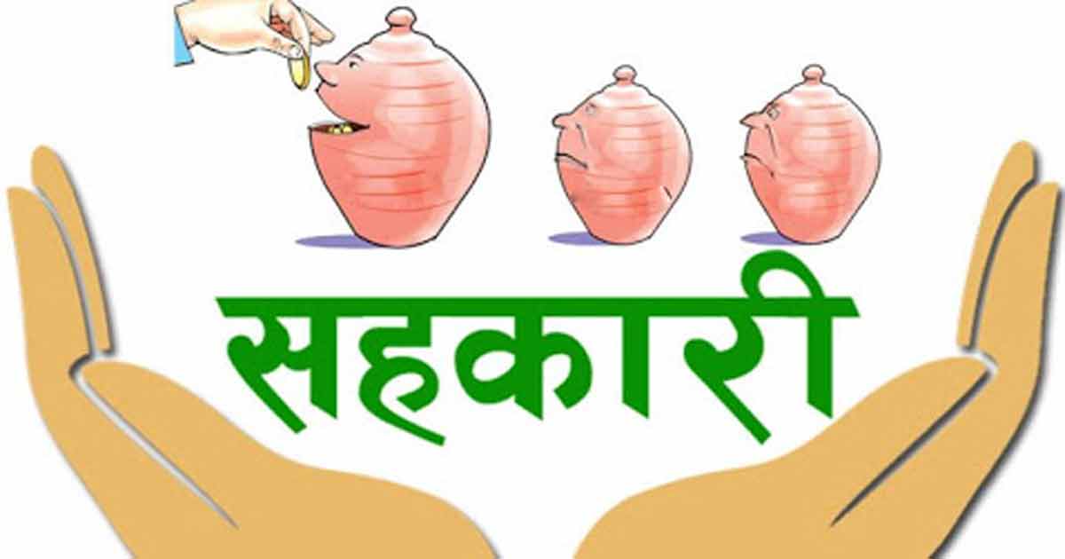 सहकारी संस्था, समस्या र जनअपेक्षा