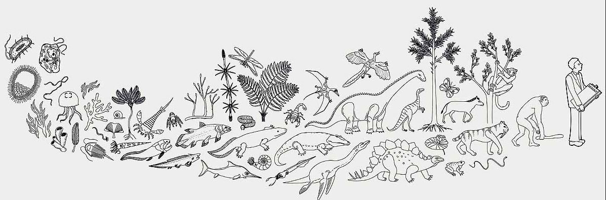 मानिसले खानाका लागि प्रत्येक तीन जीवमध्ये एकको प्रयोग गर्छन् : अध्ययन