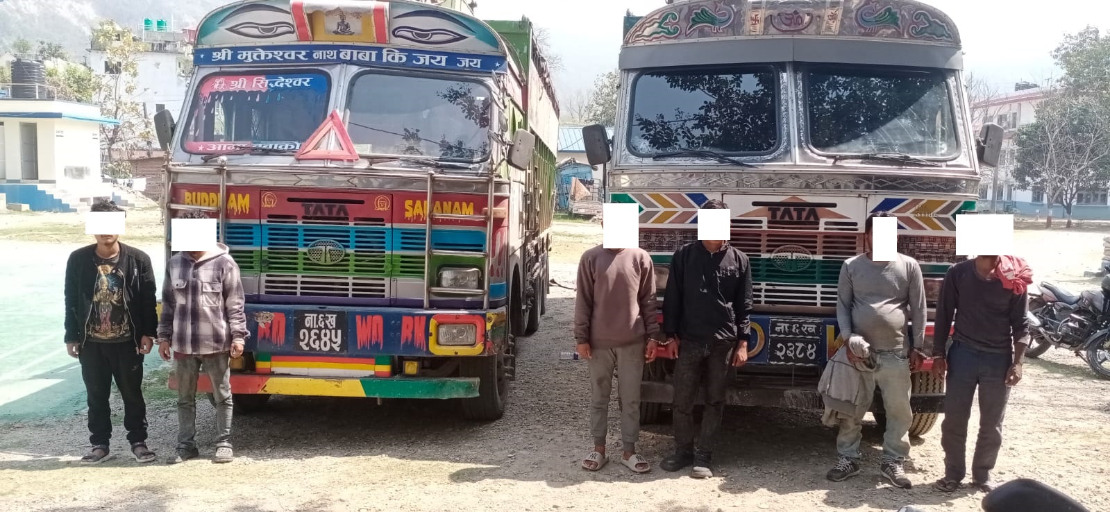 गैह्र-कानूनी रुपमा ओसार-पसार गर्दै गरेको ३८ वटा गोरु प्रहरीको नियन्त्रणमा